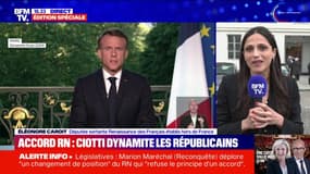 Proposition d'alliance RN/LR: "Cette dissolution a au moins pour effet de faire tomber les masques", pour Éléonore Caroit (Renaissance)