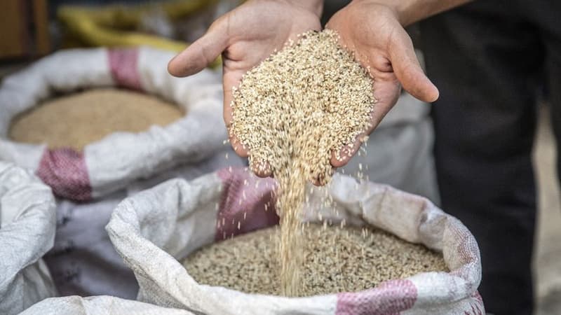 Brioches, biscuits, houmous: rappel massif de produits qui contiennent des graines de sésame