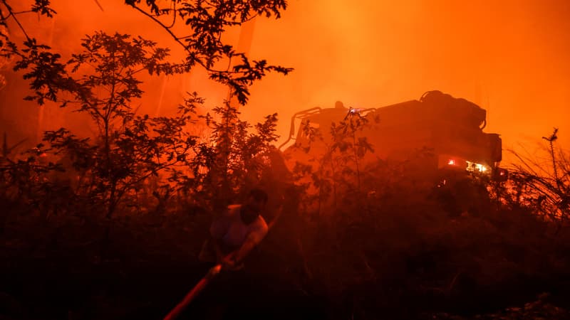 Du mieux en Gironde, la forêt de Brocéliande touchée... Le point sur les incendies en France