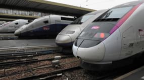 Des TGV stationnés Gare de Lyon, à Paris, en novembre 2013. (photo d'illustration)