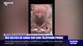 Un jeune malaisien retrouve son téléphone avec des selfies très drôles d'un singe