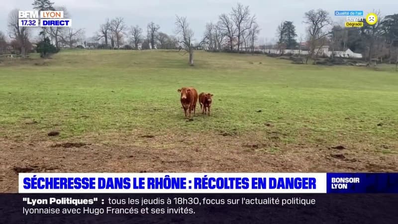 Rhône : la sécheresse continue d'impacter les agriculteurs