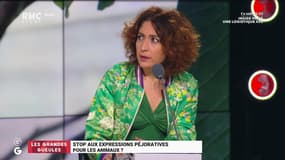 Le monde de Macron : Stop aux expressions péjoratives pour les animaux ? - 05/02