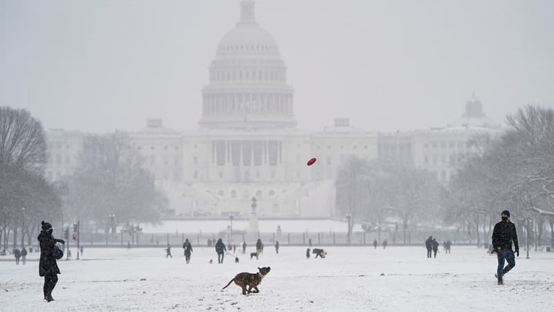 Des gens jouent avec leur chien sur le National Mall lors d'une tempête de neige le 31 janvier 2021, à Washington, DC.
