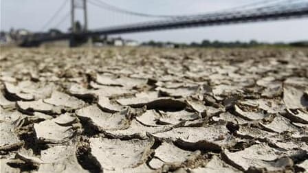 Fleuve asséché, près du pont d'Anjou-Bretagne, à Ancenis, dans l'Ouest. La France est de loin le premier producteur et exportateur de blé de l'Union européenne, mais la sécheresse qui s'est accentuée ces dernières semaines avec des températures estivales