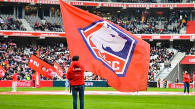 Le logo du LOSC