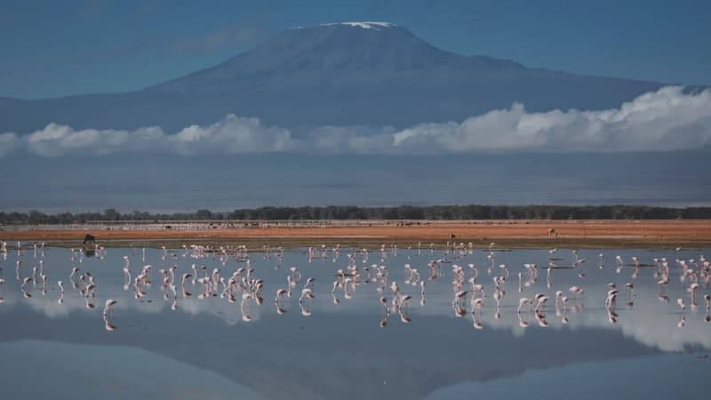 Une vue générale sur le mont Kilimandjaro prise le 21 juillet 2022 depuis le parc national d'Amboseli au Kenya.