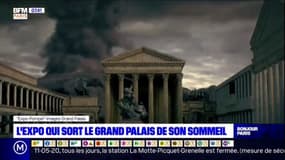 Paris: l'exposition qui sort le Grand Palais de son sommeil