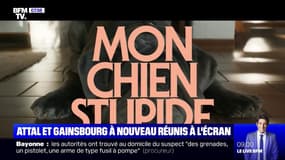 Yvan Attal et Charlotte Gainsbourg sont à nouveau réunis au cinéma, dans "Mon chien Stupide"