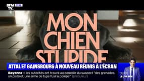 Yvan Attal et Charlotte Gainsbourg sont à nouveau réunis au cinéma, dans "Mon chien Stupide"