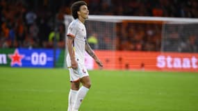 A. Witsel