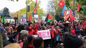 Plusieurs milliers de personnes ont participé à la manifestation contre la vie chère en Outre-mer ce dimanche 10 novembre à Paris.