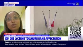 Île-de-France: des parents de lycéens sans affectation vont porter plainte contre le recteur
