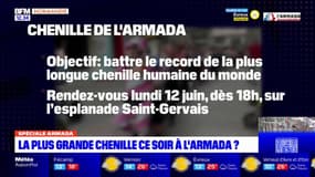 Armada de Rouen: bientôt la plus grande chenille au monde?