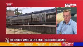 1 TER sur 5 annulé ou en retard: que font les régions? "L'âge moyen de notre réseau, c'est 30 ans"