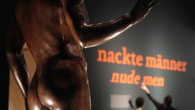 Le musée Leopold de Vienne, en Autriche, va ouvrir ses portes à des visiteurs nudistes lors d'une séance exceptionnelle de l'exposition "Hommes nus". /Photo prise le 29 janvier 2013/REUTERS/Heinz-Peter Bader