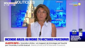 Risque d'incendies: Martine Vassal appelle à la vigilance