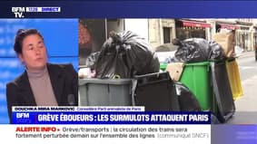 Story 2 : Grèves, les poubelles s'entassent à Paris - 09/03