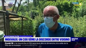 Nord: des voisins finissent au tribunal à cause d'un coq trop bruyant