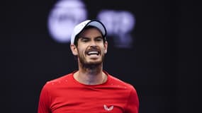 Andy Murray