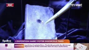 L'exposition Harry Potter ensorcelle Paris 