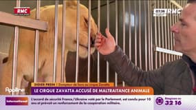 Le cirque Zavatta accusé de maltraitance animale