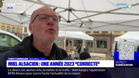 Miel alsacien: une année 2023 "correcte"
