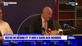 Marseille: importante saisie de drogue et d'argent aux Rosiers