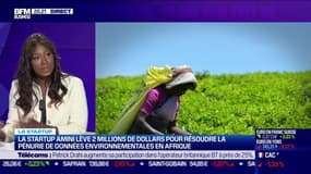 Kate Kallot (Amini) : La startup Amini lève 2 millions de dollars pour résoudre la pénurie de données environnementales en Afrique - 23/05