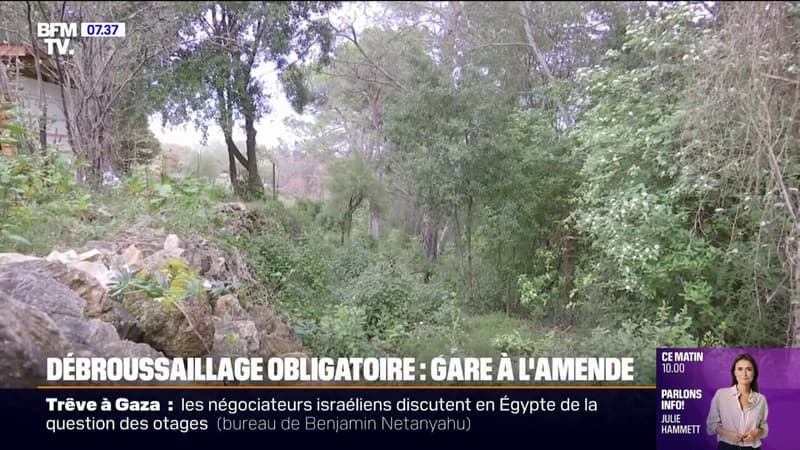 Dans toutes les communes de l'Hérault, le débroussaillage devient obligatoire sous peine d'amende, pour limiter les risques d'incendies