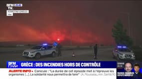 Grèce : des incendies hors de contrôle - 22/08