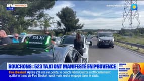 Bouchons : 523 taxis ont manifesté en Provence