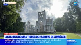 L'été chez nous: l'histoire des ruines romantiques de l'abbaye de Jumièges