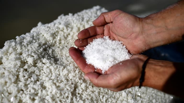 Un saunier tient de la fleur de sel dans un marais salant à Saint-Clément-des-Baleines, le 15 septembre 2023. (Illustration)
