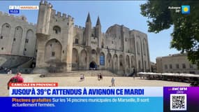 Canicule en Provence. Jusqu'à 39°C attendus à Avignon ce mardi
