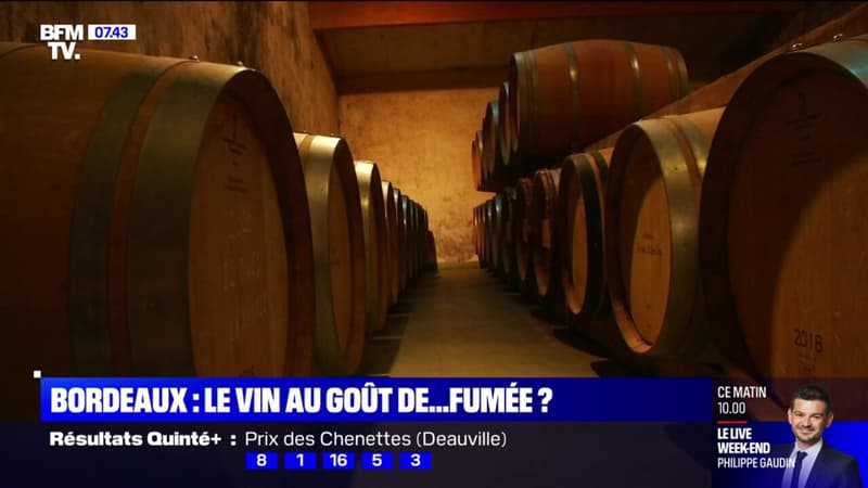 Incendies en Gironde: les vins de Bordeaux auront-ils un goût de fumée?