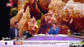 La guerre en Ukraine et une épidémie de grippe aviaire font craindre une pénurie de volaille