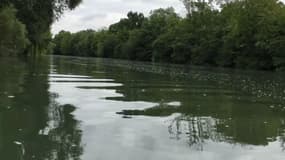 La qualité de l'eau de la Marne s'est améliorée ces 20 dernières années. 