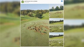 Le collectif écolo "La Ronce" a revendiqué les dégradations de deux golfs du Calvados.