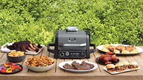 Laissez vous tenter par ce barbecue électrique en promotion, avec plus de 1 000 avis positifs c'est une affaire
