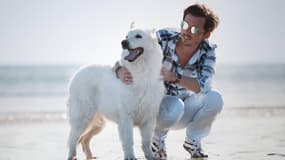 YLG, l’agence de communication 100% dédiée aux animaux 