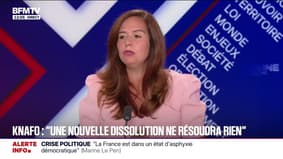 "Une démission du président de la République" est "la seule chose qu'il nous faudrait", estime Sarah Knafo (Reconquête)