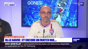 Ligue 1: les tops et les flops de Lyon-Le Havre