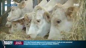 La FNSEA appelle les agriculteurs à se mobiliser la semaine prochaine 