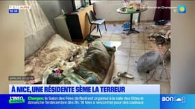 JT du Sud du jeudi 28 novembre