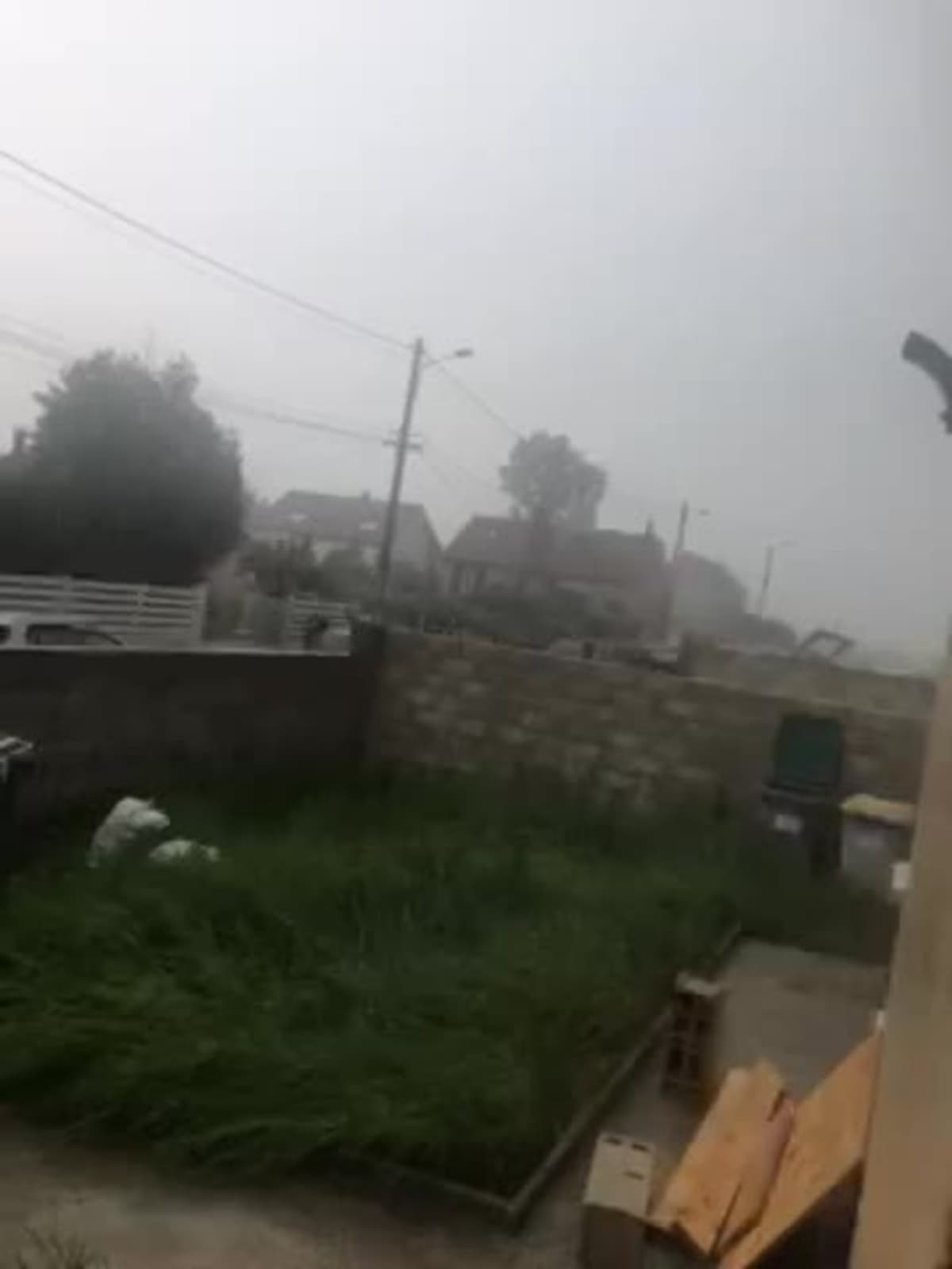placeholder video
