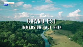 Grand-Est : immersion Haut-Rhin