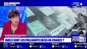 Quelles sont les principales sources de pollution en Île-de-France?
