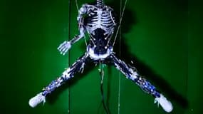 Kenshiro est, à ce jour, le robot qui se rapproche le plus de la structure d'un être humain.