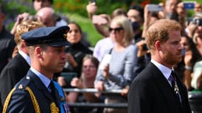 Le prince William et le prince Harry marchent derrière le cercueil de la reine Elizabeth II, lors d'une procession entre Buckingham Palace et le palais de Westminster, à Londres, le 14 septembre 2022.